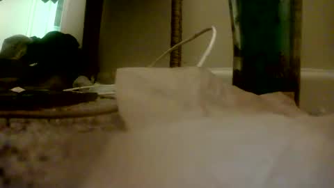 Snapshot of bigguypete1999 chatting on 11.16.25 Peter Paul online show from 11.16.25