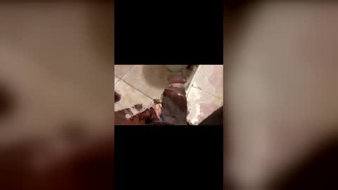 Bignath online show from 03.22.26