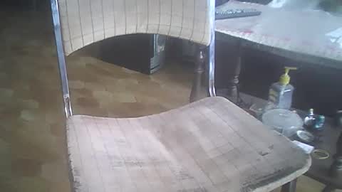 bigpenix online show from 12.21.25