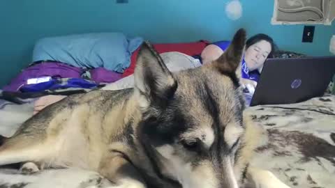 Snapshot of bigtomcat45 chatting on 12.26.24 bigtomcat45 online show from 12.26.24