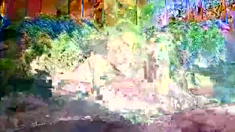 bigwytecock1979 online show from 12.09.24