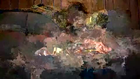 bigwytecock1979 online show from 12.11.24