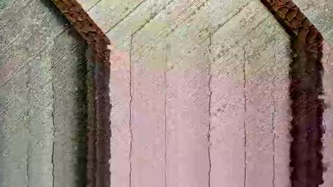 bigwytecock1979 online show from 12.24.24