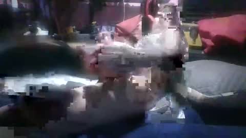 bihhplease2 online show from 04.14.26