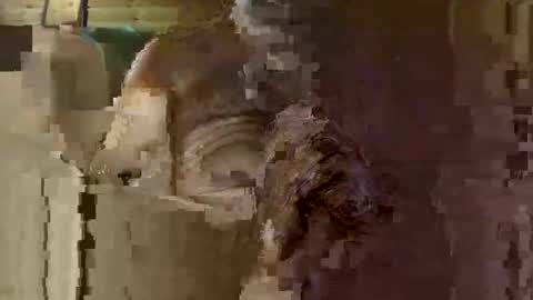 bik40 online show from 10.01.25