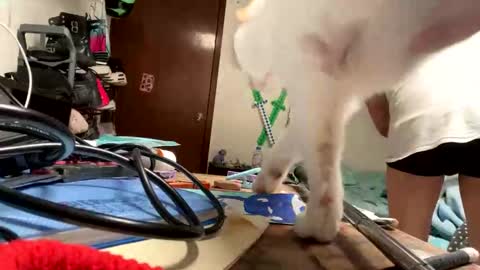 Snapshot of bisexmangenx chatting on 11.09.25 Manu O online show from 11.09.25