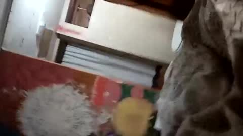 bitchassnig23401rb online show from 11.05.25