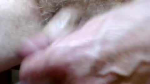 bitexan69 online show from 09.20.25