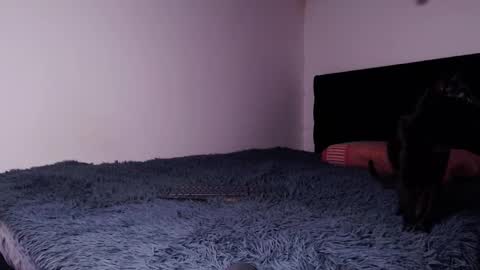 black_firex online show from 10.06.25