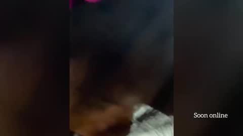 Lilly and Bryson online show from 12.03.25