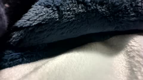 Snapshot of blackhammer8787 chatting on 12.08.24 blackhammer8787 online show from 12.08.24