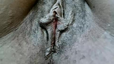 fiona online show from 01.25.25