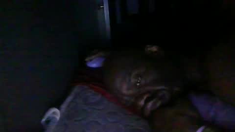 blackteddybear online show from 02.18.26