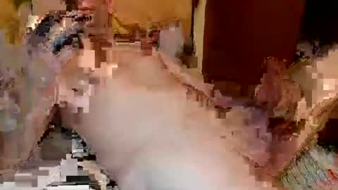 blagoy07 online show from 12.15.25