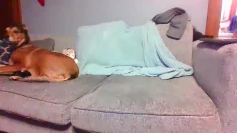 blaw_1321 online show from 12.31.24