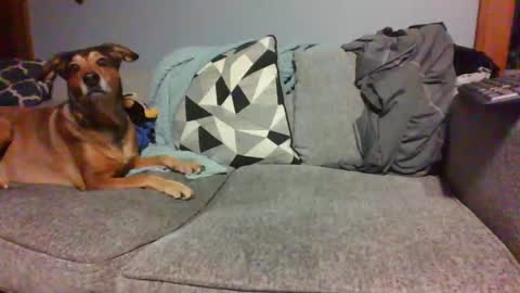 blaw_1321 online show from 01.04.25