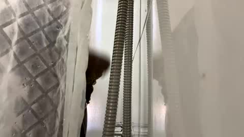 blkbiguncut10462 online show from 02.24.25