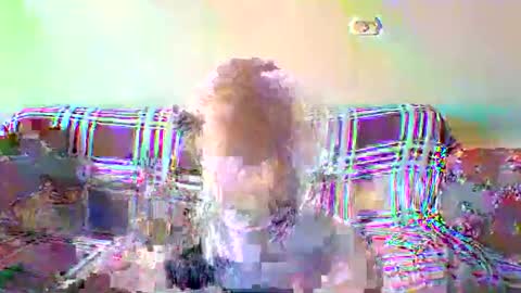 BlondiePam online show from 12.20.25