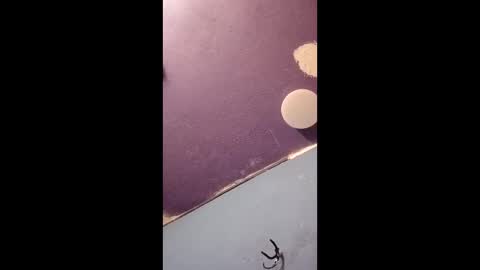 blue17562 online show from 04.11.26