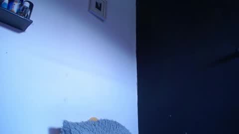 Snapshot of blue_morningstar chatting on 09.22.25 bunbury online show from 09.22.25