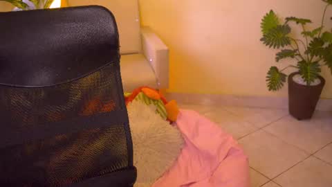 FLORAA online show from 06.13.26