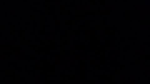 blueishgoldish online show from 03.23.26