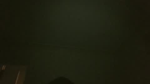 bluemoose70 online show from 03.29.26