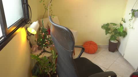 Snapshot of bluemysticlady chatting on 12.23.24 FLORAA online show from 12.23.24
