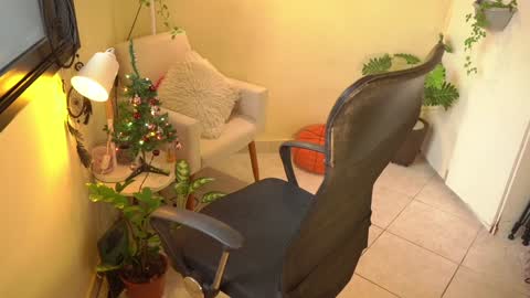 Snapshot of bluemysticlady chatting on 12.24.24 FLORAA online show from 12.24.24