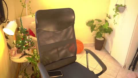 Snapshot of bluemysticlady chatting on 12.26.24 FLORAA online show from 12.26.24
