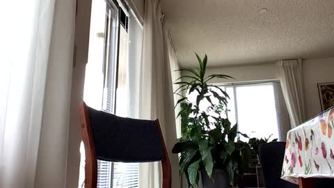 Snapshot of blueyedudeseattle chatting on 09.21.25 Blueyedudeseattle online show from 09.21.25