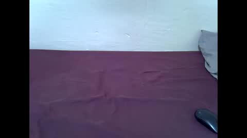 Bunny online show from 02.07.26