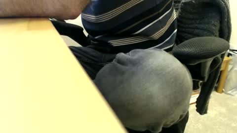 bobbuild online show from 03.30.26