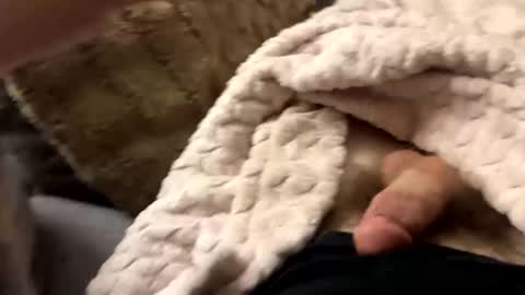 bobdillon401 online show from 01.10.25