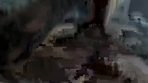 bobdillon401 online show from 02.22.25