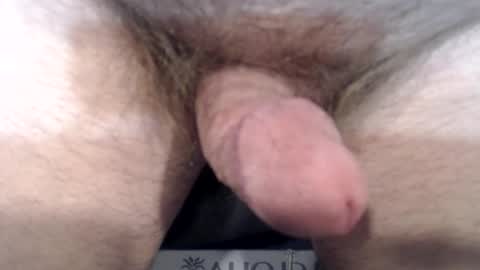 bobswan online show from 12.22.24