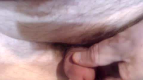 bobswan online show from 12.26.24