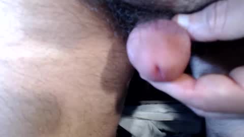 bobswan online show from 09.17.25