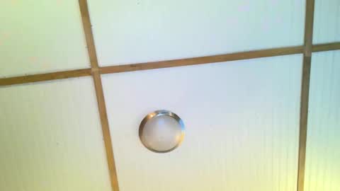 bodacioustits online show from 11.02.25