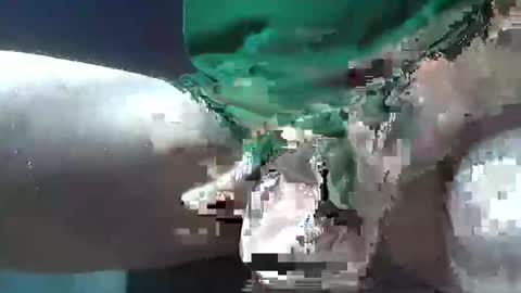 Snapshot of bogey58 chatting on 12.08.24 bogey58 online show from 12.08.24