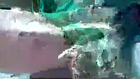 Snapshot of bogey58 chatting on 02.12.25 bogey58 online show from 02.12.25