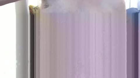 Snapshot of bolbil1 chatting on 12.15.24 bolbil1 online show from 12.15.24