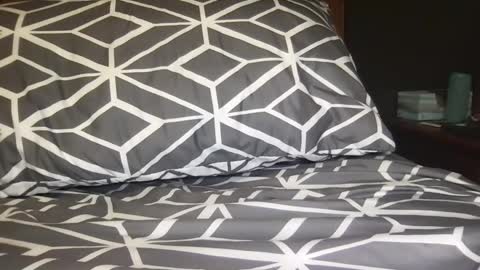 boldlust online show from 12.11.24