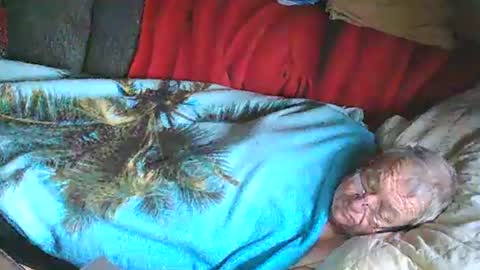 Bomber59potsdam online show from 01.25.25