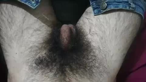 Snapshot of bomvemcam chatting on 04.29.26 Im Bom - Tip if You Liked my Hairy Body - Private Show is Open - Read more about me in the bio below online show from 04.29.26