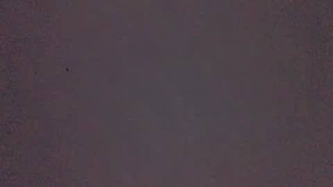 bonershow online show from 11.21.25