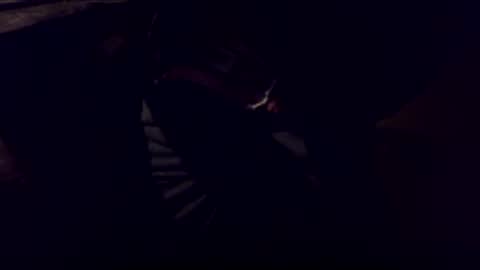 Bonkooooo online show from 02.08.26