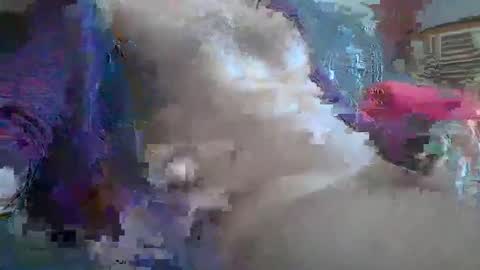 Snapshot of bonnieclyde90 chatting on 10.12.25 bonnieclyde90 online show from 10.12.25