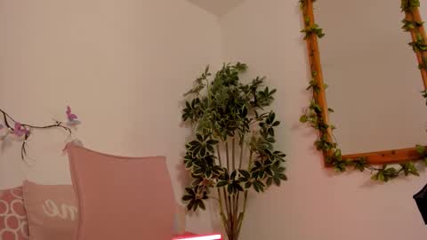   online show from 10.23.25