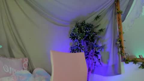   online show from 11.22.25